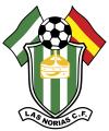 LAS NORIAS C.F. (Almería)                                2 equipos: Cadete - Infantil